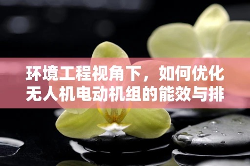 环境工程视角下，如何优化无人机电动机组的能效与排放？
