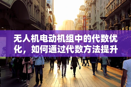 无人机电动机组中的代数优化，如何通过代数方法提升效率？