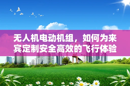 无人机电动机组，如何为来宾定制安全高效的飞行体验？