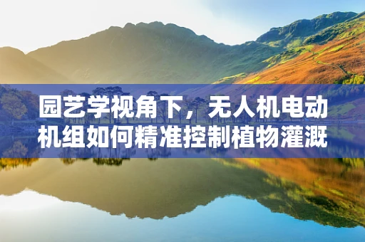 园艺学视角下，无人机电动机组如何精准控制植物灌溉？