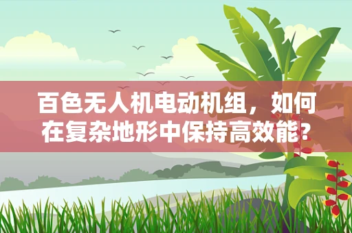 百色无人机电动机组，如何在复杂地形中保持高效能？
