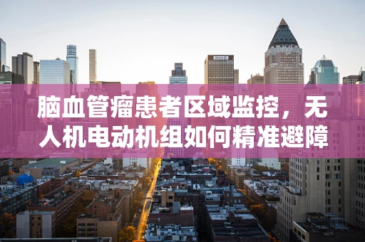 脑血管瘤患者区域监控，无人机电动机组如何精准避障？