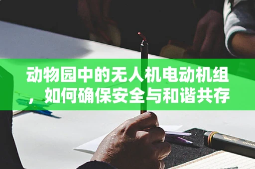 动物园中的无人机电动机组，如何确保安全与和谐共存？