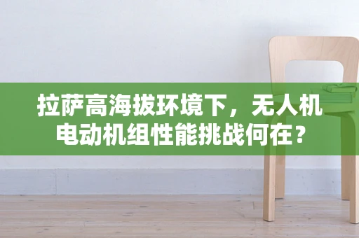 拉萨高海拔环境下，无人机电动机组性能挑战何在？