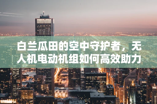 白兰瓜田的空中守护者，无人机电动机组如何高效助力瓜果保护？