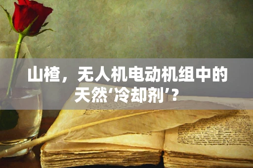 山楂，无人机电动机组中的天然‘冷却剂’？