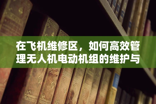 在飞机维修区，如何高效管理无人机电动机组的维护与检修？