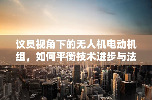 议员视角下的无人机电动机组，如何平衡技术进步与法规监管？