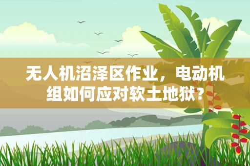 无人机沼泽区作业，电动机组如何应对软土地狱？