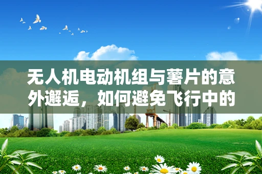 无人机电动机组与薯片的意外邂逅，如何避免飞行中的空中诱惑？