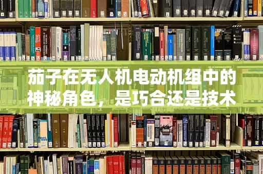 茄子在无人机电动机组中的神秘角色，是巧合还是技术奇缘？
