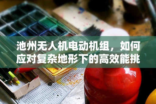 池州无人机电动机组，如何应对复杂地形下的高效能挑战？