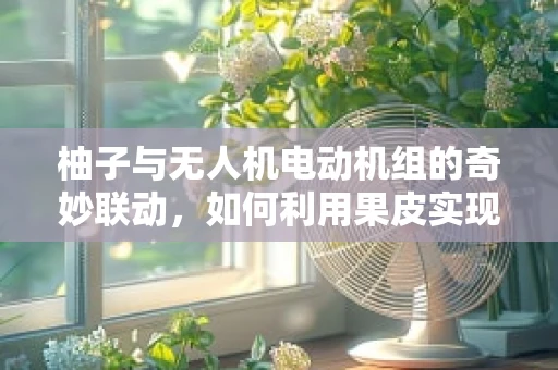 柚子与无人机电动机组的奇妙联动，如何利用果皮实现高效散热？