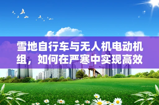 雪地自行车与无人机电动机组，如何在严寒中实现高效驱动？