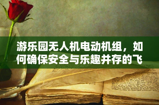 游乐园无人机电动机组，如何确保安全与乐趣并存的飞行体验？