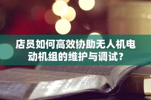 店员如何高效协助无人机电动机组的维护与调试？