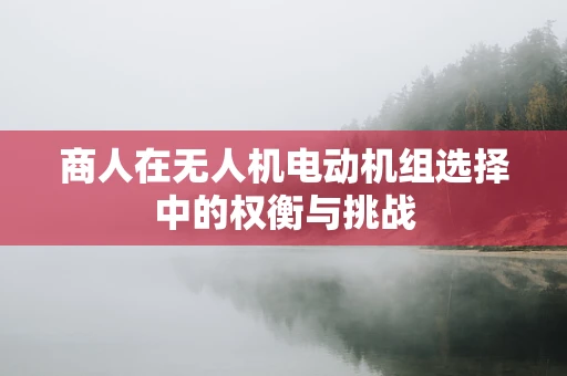商人在无人机电动机组选择中的权衡与挑战