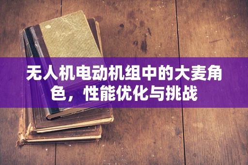 无人机电动机组中的大麦角色，性能优化与挑战