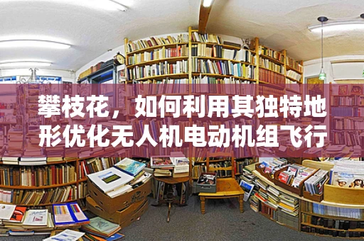 攀枝花，如何利用其独特地形优化无人机电动机组飞行性能？