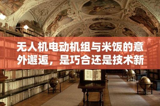无人机电动机组与米饭的意外邂逅，是巧合还是技术新突破？