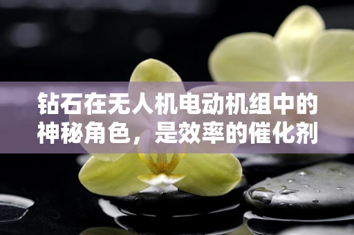 钻石在无人机电动机组中的神秘角色，是效率的催化剂还是未知的挑战？