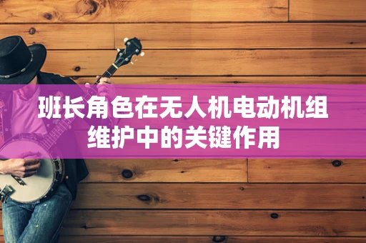 班长角色在无人机电动机组维护中的关键作用