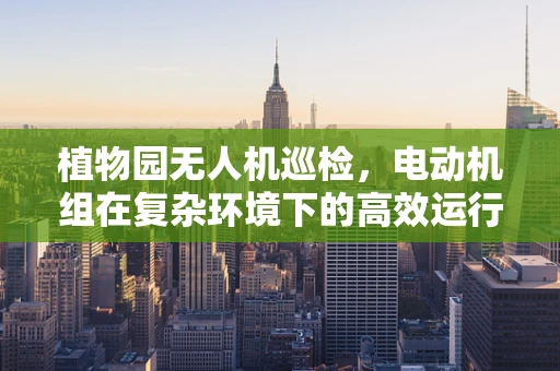 植物园无人机巡检，电动机组在复杂环境下的高效运行策略？