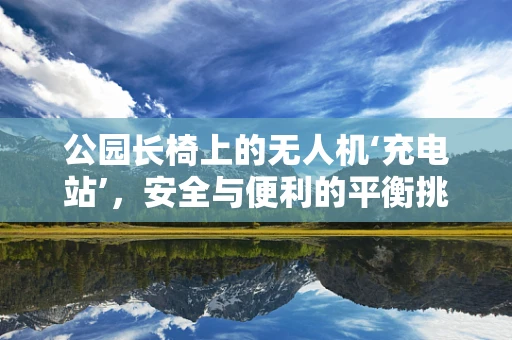 公园长椅上的无人机‘充电站’，安全与便利的平衡挑战