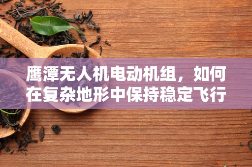 鹰潭无人机电动机组，如何在复杂地形中保持稳定飞行？