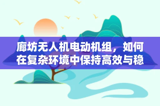 廊坊无人机电动机组，如何在复杂环境中保持高效与稳定？
