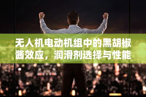 无人机电动机组中的黑胡椒酱效应，润滑剂选择与性能提升的奥秘
