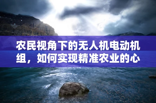 农民视角下的无人机电动机组，如何实现精准农业的心脏高效运转？