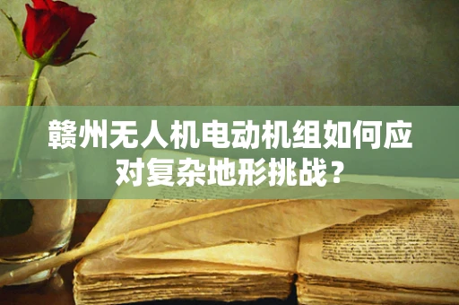 赣州无人机电动机组如何应对复杂地形挑战？