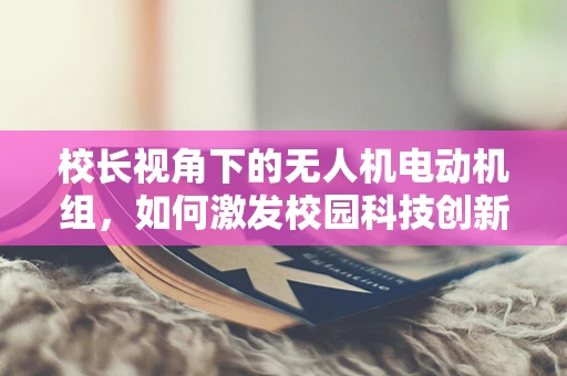 校长视角下的无人机电动机组，如何激发校园科技创新的‘飞行’引擎？