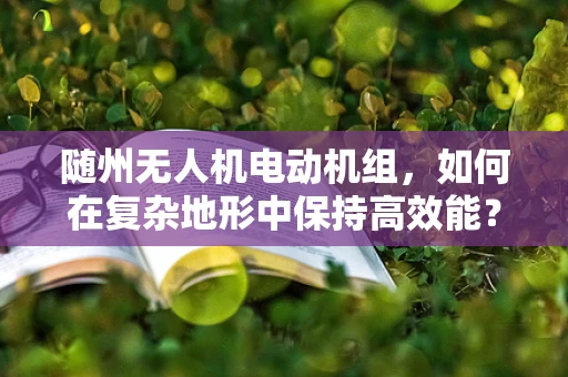 随州无人机电动机组，如何在复杂地形中保持高效能？