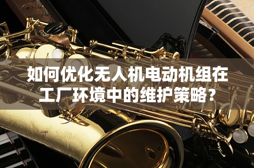 如何优化无人机电动机组在工厂环境中的维护策略？