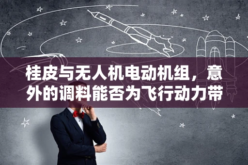 桂皮与无人机电动机组，意外的调料能否为飞行动力带来新启示？