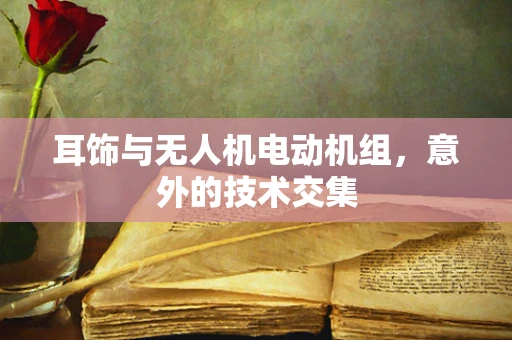 耳饰与无人机电动机组，意外的技术交集