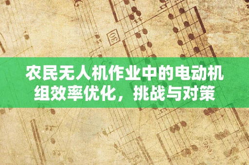 农民无人机作业中的电动机组效率优化，挑战与对策