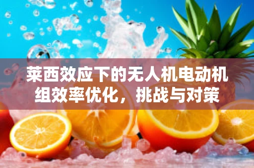 莱西效应下的无人机电动机组效率优化，挑战与对策