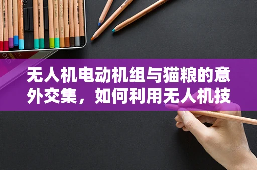 无人机电动机组与猫粮的意外交集，如何利用无人机技术高效配送宠物食品？