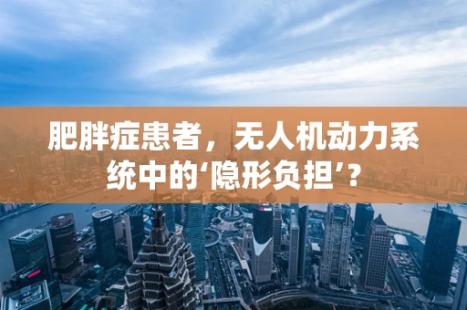肥胖症患者，无人机动力系统中的‘隐形负担’？
