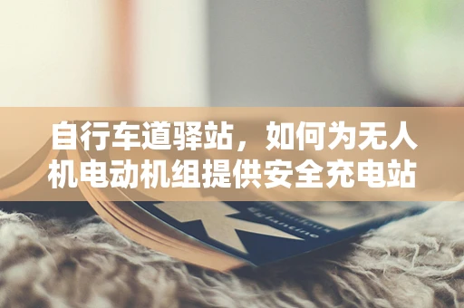 自行车道驿站，如何为无人机电动机组提供安全充电站？