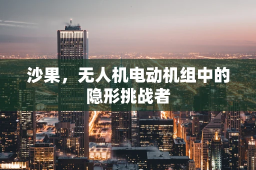沙果，无人机电动机组中的隐形挑战者