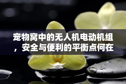 宠物窝中的无人机电动机组，安全与便利的平衡点何在？