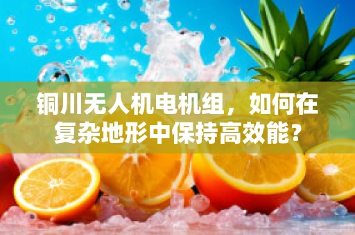 铜川无人机电机组，如何在复杂地形中保持高效能？
