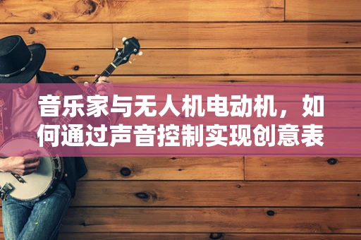 音乐家与无人机电动机，如何通过声音控制实现创意表演？