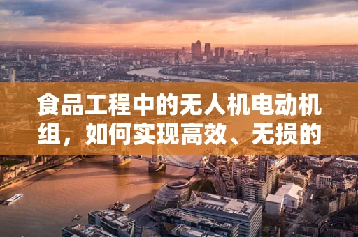 食品工程中的无人机电动机组，如何实现高效、无损的物料运输？