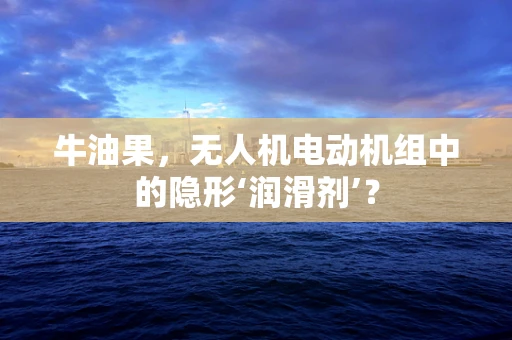 牛油果，无人机电动机组中的隐形‘润滑剂’？