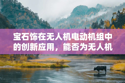 宝石饰在无人机电动机组中的创新应用，能否为无人机增添新亮点？